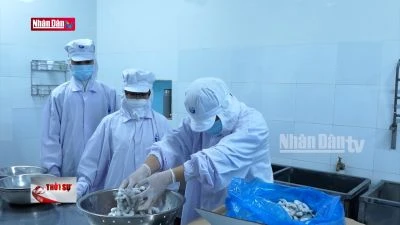 Sản phẩm khoa học công nghệ trong nông nghiệp khó tiếp cận thị trường