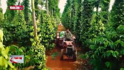 Kinh tế xanh: Những điểm nghẽn cần tháo gỡ