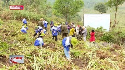 Về đích sớm đề án trồng 1 tỷ cây xanh