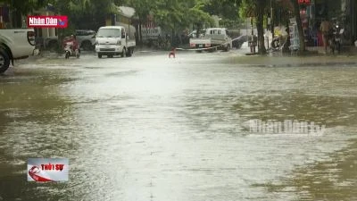 Vùng núi và trung du Bắc Bộ có mưa lớn