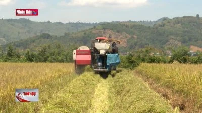 Kiến nghị miễn thuế sử dụng đất nông nghiệp 10 năm