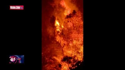 Hai kiểm lâm tử nạn khi chữa cháy rừng đặc dụng Tây Côn Lĩnh