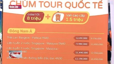 Giá vé máy bay tăng cao Khó kích cầu du lịch dịp nghỉ lễ