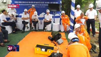 Chủ động ứng phó, xử lý sự cố lưới điện trong mùa mưa bão