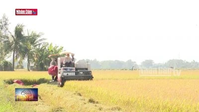 Triển vọng phát triển sản xuất cho ngành phân bón Việt Nam