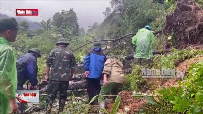 Tìm thấy thêm 7 nạn nhân trong vụ sạt lở đất