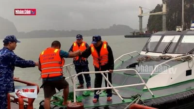 24 người thiệt mạng và mất tích sau bão số 3