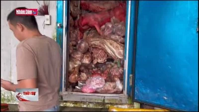 Phát hiện nhiều vi khuẩn sinh độc tố trong kho thịt lợn đông lạnh