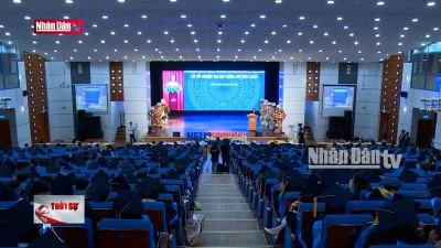 Nâng cao kỹ năng thực chiến cho sinh viên