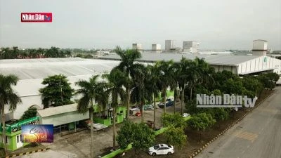 Khu công nghiệp sinh thái - hướng phát triển bền vững