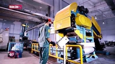 Năm 2024 kinh tế Việt Nam tiếp tục xu hướng phục hồi tích cực