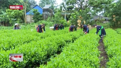 Xây dựng lực lượng nông dân thông minh, hiện đại