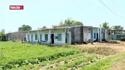 Dự án làng đại học Đà Nẵng "treo" 27 năm