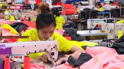 Khu vực kinh tế tư nhân tạo ra 85% việc làm