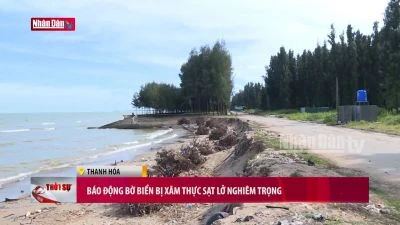 Báo động bờ biển bị xâm thực sạt lở nghiêm trọng