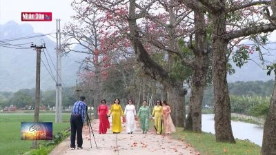 Người dân Hà Nội với mùa hoa gạo đỏ