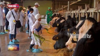 Tài năng nhỉ Robotacon tham quan trang trại xanh