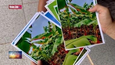 Đồng Nai: Bất an vì nhà máy xử lý rác gây ô nhiễm kéo dài