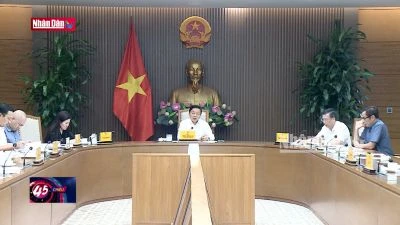 Hoàn thiện Nghị định chi tiết về đất trồng lúa