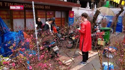 Rực rỡ sắc màu chợ hoa xuân Hàng Lược