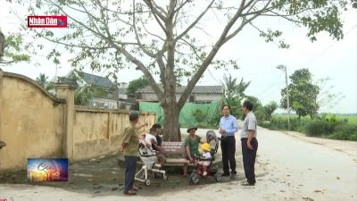 Phát huy vai trò của người cao tuổi trong xây dựng nông thôn mới