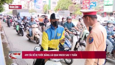 499 tài xế bị tước bằng lái qua VNeID sau 1 tuần