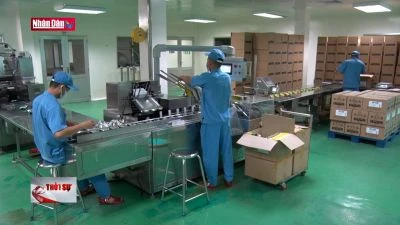 Nhiều hoạt động trong chiến dịch tiêu dùng xanh