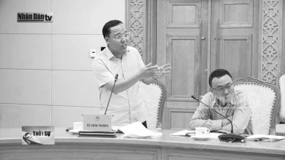 Xây dựng đề án thí điểm điện gió ngoài khơi