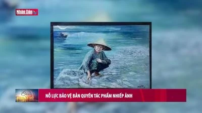 Nỗ lực bảo vệ bản quyền tác phẩm nhiếp ảnh