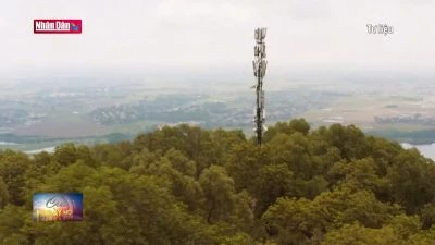 Các nhà mạng sẵn sàng cho cuộc chạy đua đấu giá tần số 5G