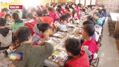 Kiểm tra chất lượng bữa ăn của học sinh bán trú vùng cao
