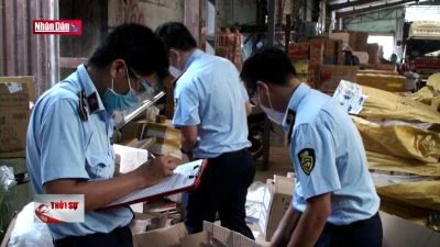 Chuyển cơ quan điều tra 2 vụ gian lận có dấu hiệu buôn lậu