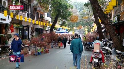 Rực rỡ sắc màu chợ hoa xuân Hàng lược