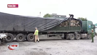 Nghệ An tạm giữ gần 500 tấn đá thạch anh trái phép