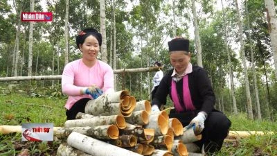 Đa dạng mô hình sinh kế, tạo điều kiện cho người dân thoát nghèo