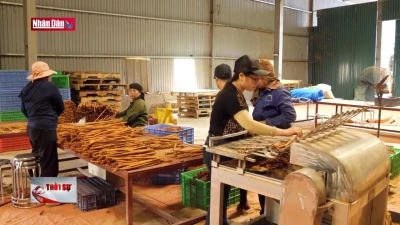 Khó thu hút đầu tư vào các khu kinh tế