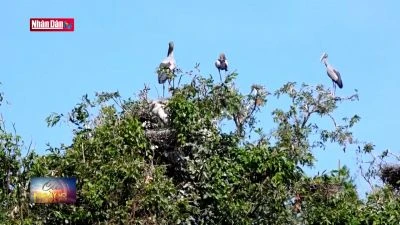 Lần đầu tiên Việt Nam triển khai “Hộ chiếu vườn quốc gia”