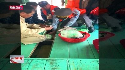 Đấu tranh phòng, chống tội phạm trên tuyến biển