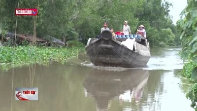 Tích cực phòng, chống xâm nhập mặn