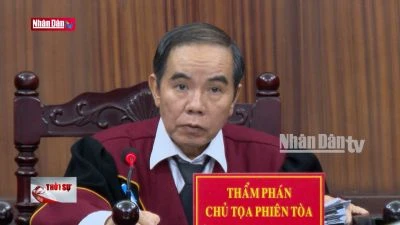 TP Hồ Chí Minh: Tuyên án 254 bị cáo vụ đại án đăng kiểm
