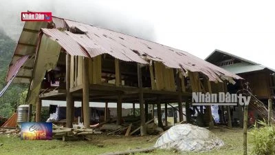 Mưa lớn kéo dài gây thiệt hại về nhà cửa và hoa màu