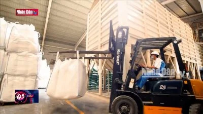 Nhìn lại 4 năm thực thi EVFTA đòn bẩy thúc đẩy xuất khẩu