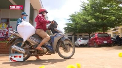 15 địa phương đề nghị xuất cấp gạo hỗ trợ dịp Tết Nguyên Đán