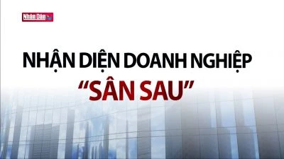 Nhận diện doanh nghiệp “sân sau”