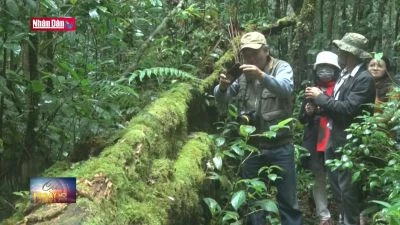 Công nhận điểm du lịch Vườn Quốc gia Bidoup - Núi Bà