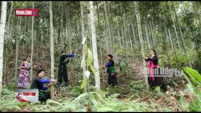 Bảo vệ nền tảng tư tưởng của Đảng: Vì một Việt Nam phồn vinh, hạnh phúc