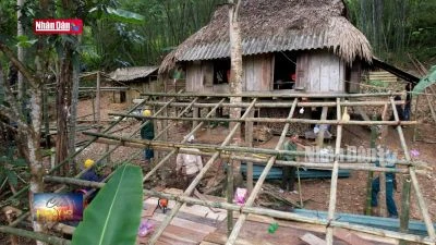 Bố trí nơi ổn định tạm thời cho dân bản