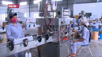 Bất cập xử lý vi phạm quy định thẩm định giá