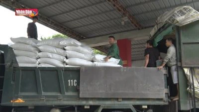 Xuất cấp hơn 10.000 tấn gạo phục vụ người dân ăn Tết