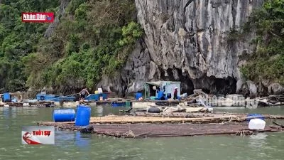 Nỗ lực khôi phục ngành thủy sản sau thiên tai